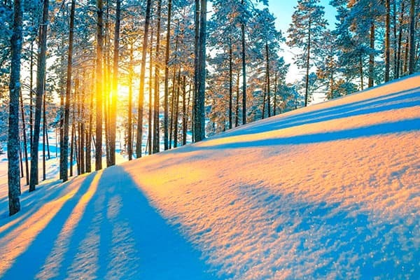 Solsticio de invierno