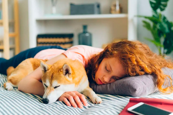 La vida de los perros vs la de los humanos. El tiempo pasa diferente